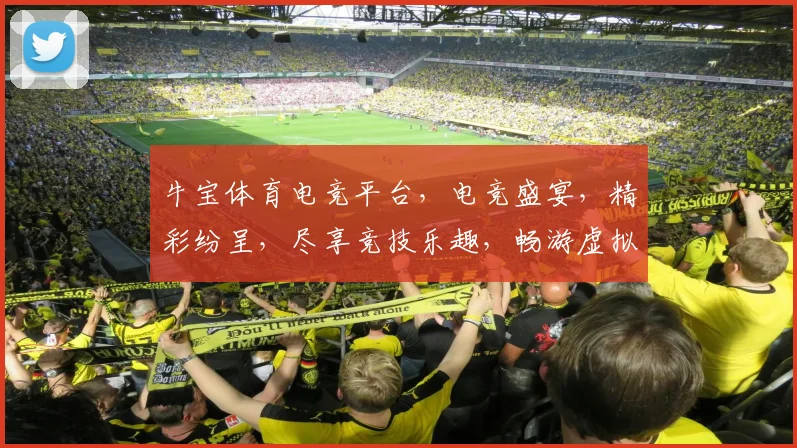 牛宝体育电竞平台，电竞盛宴，精彩纷呈，尽享竞技乐趣，畅游虚拟战场，邀您共赴