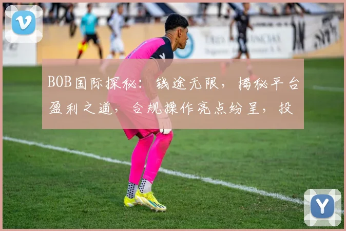 BOB国际探秘：钱途无限，揭秘平台盈利之道，合规操作亮点纷呈，投资风向标
