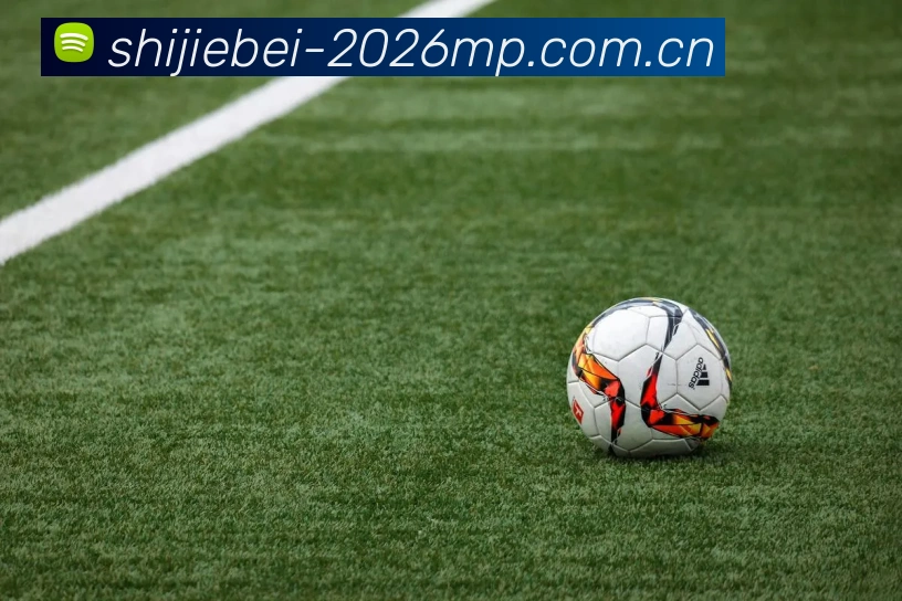 世界杯2026门票服务体系